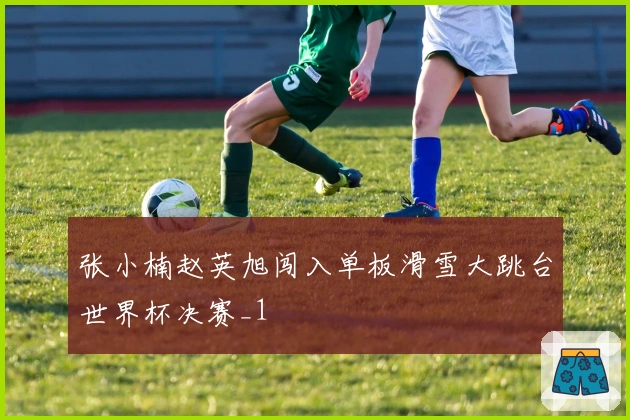 张小楠赵英旭闯入单板滑雪大跳台世界杯决赛_1
