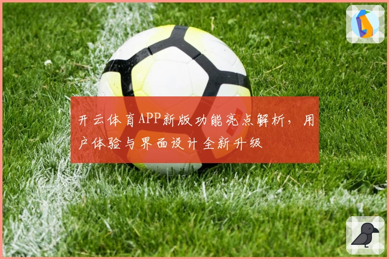 开云体育APP新版功能亮点解析，用户体验与界面设计全新升级